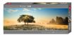 Imagen de Rompecabezas Avh Play Of Light Panoramico 1000 Piezas
