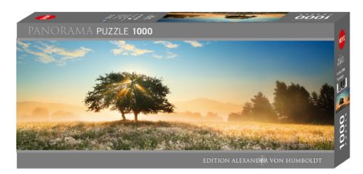 Imagen de Rompecabezas Avh Play Of Light Panoramico 1000 Piezas