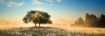 Imagen de Rompecabezas Avh Play Of Light Panoramico 1000 Piezas