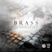 Imagen de Brass: Birmingham