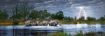 Imagen de Rompecabezas Avh Herd Of Elephants Panoramico 2000 Piezas