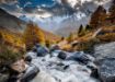 Imagen de Rompecabezas Avh Mountain Stream 1000 Piezas