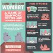 Imagen de Hand To Hand Wombat