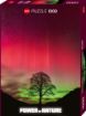 Imagen de Rompecabezas Power Of Nature Sycamore Gap 1000 Piezas