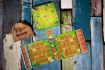 Imagen de Garden Rush