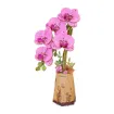 Imagen de Armable Purple Moth Orchid Rolife - Tw091