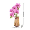 Imagen de Armable Purple Moth Orchid Rolife - Tw091