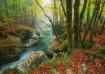 Imagen de Rompecabezas Magic Forests Little Brook 1000 Piezas