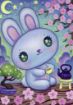 Imagen de Rompecabezas Dreaming Bunny Zen Garden 500 Piezas